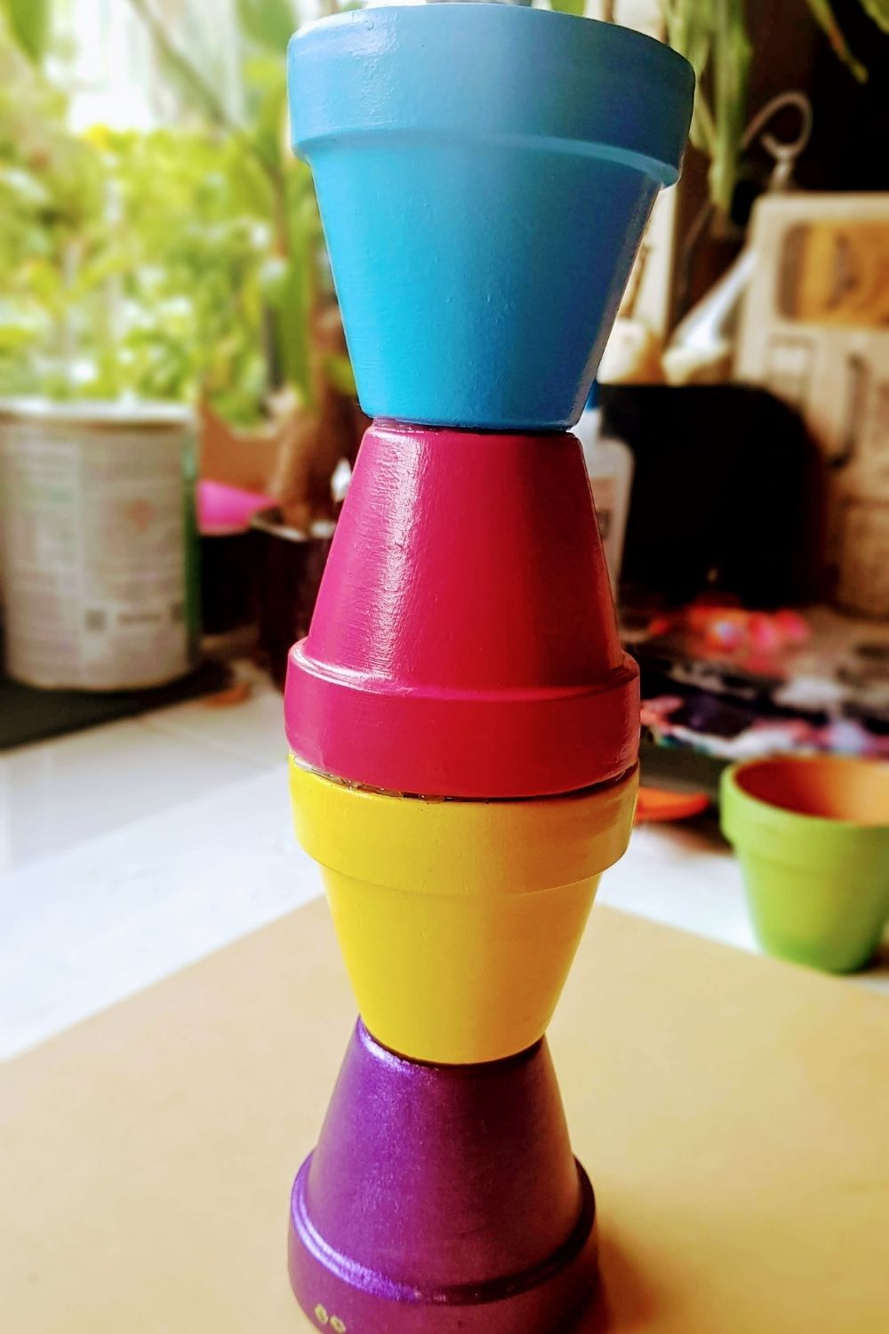 Colourful Terracotta Plant Pot Kiwi Families