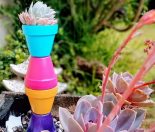 Colourful Terracotta Pot Plant Stand succulent