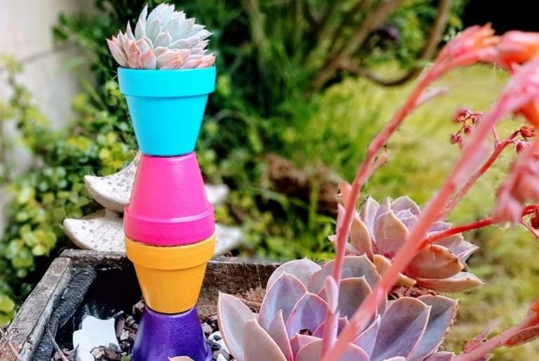 Colourful Terracotta Pot Plant Stand succulent