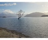 What to do in Wanaka in Winter with Kids