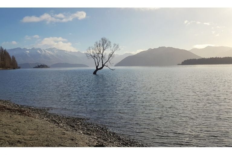 What to do in Wanaka in Winter with Kids