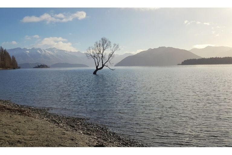 13 Must-do Wanaka Activities with Kids What to do in Wanaka in Winter with Kids