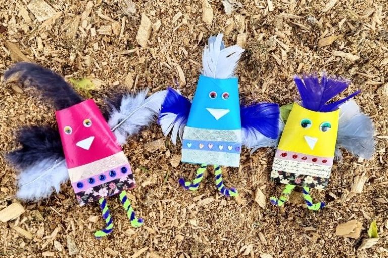 Cardboard Tube Crafts – Colourful Chicken Cardbord Tube Crafts - Colourful Chicken