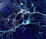 Importance of Bonding With Your Baby-brain development