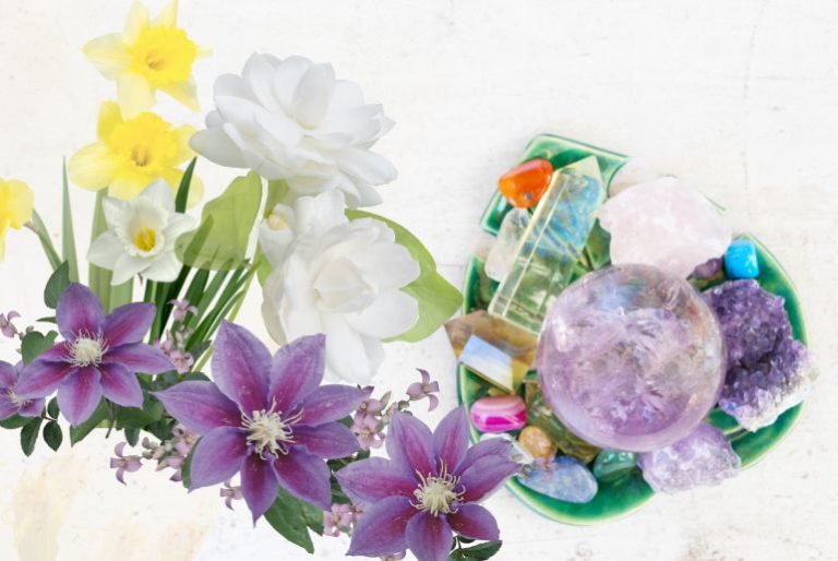 birthstones and birth flowers - All year