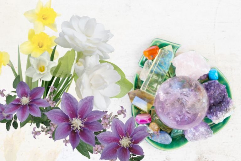 Birthstones and Birth Flowers birthstones and birth flowers - All year