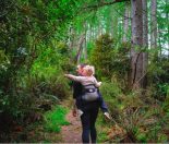 Best Auckland Day Walks