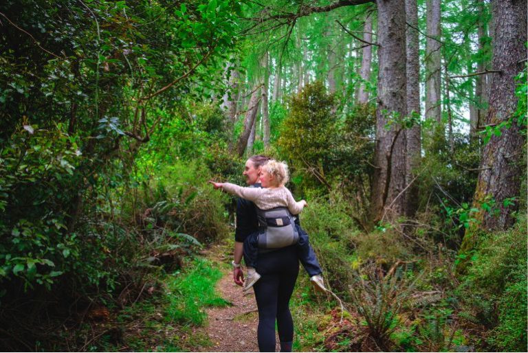 Five Best Day Walks in Auckland for Families Best Auckland Day Walks