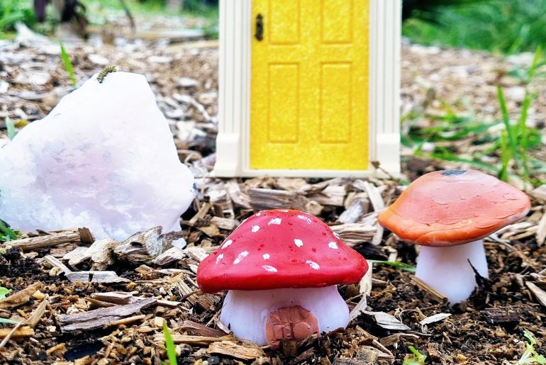 Make a Clay Mushroom and Mushroom House Kiwi Families