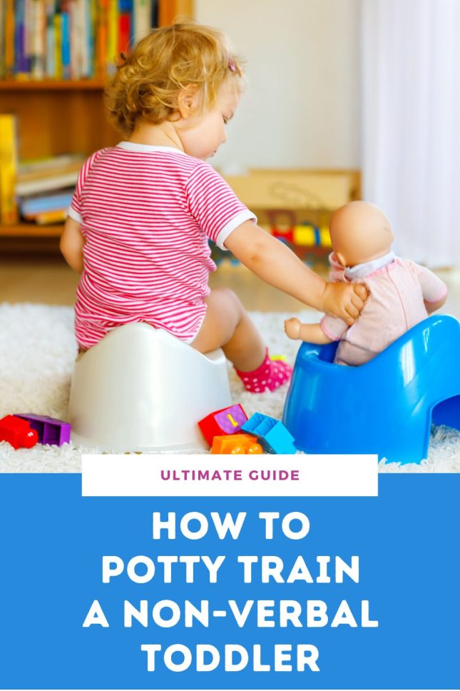 How to Potty Train a Non-Verbal Toddler