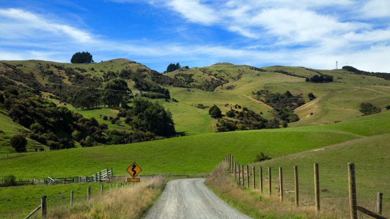 Planning a Winter Road Trip Through New Zealand’s South Island? Read This First